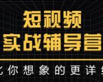 达人队长:短视频实战辅导营,比你想象的更详细|淘骐网赚资源库