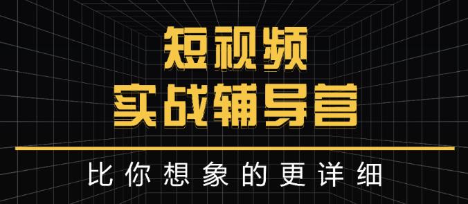 达人队长:短视频实战辅导营，比你想象的更详细|淘骐网赚资源库