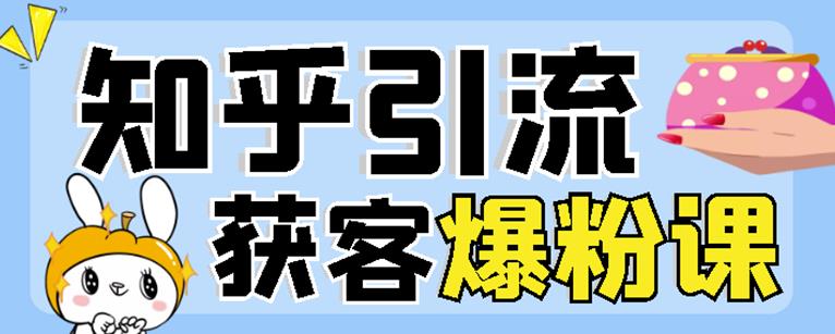 2022船长知乎引流+无脑爆粉技术：每一篇都是爆款，不吹牛，引流效果杠杠的|淘骐网赚资源库