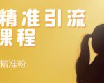 soul精准引流系列课程,每天引流100精准粉|淘骐网赚资源库