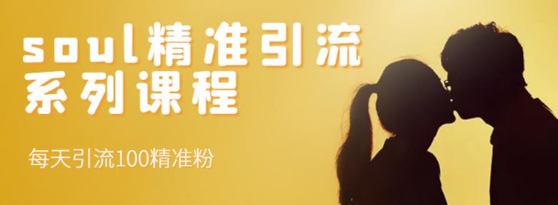 soul精准引流系列课程,每天引流100精准粉|淘骐网赚资源库