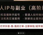一舟一课个人IP与副业（高阶版），短视频和直播新手起号-普通人如何做好个人IP|淘骐网赚资源库