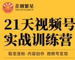 张萌21天视频号实战训练营,裂变涨粉、内容创作、视频号变现 价值298元|淘骐网赚资源库