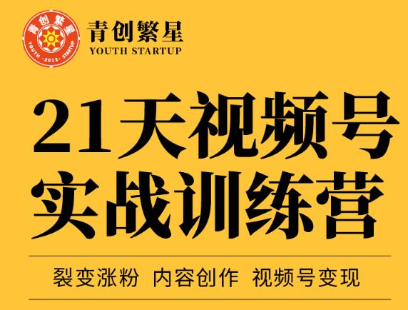 张萌21天视频号实战训练营,裂变涨粉、内容创作、视频号变现 价值298元|淘骐网赚资源库