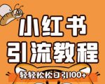 小红书运营引流全系列课程,每天引流100精准粉|淘骐网赚资源库