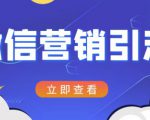 微信营销策划引流系列课程,每天引流100精准粉|淘骐网赚资源库