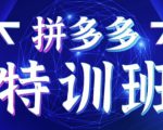 星雪教育·拼多多基础班+进阶班+突破班,用系统的学习模式快速改变现状价值3580元|淘骐网赚资源库