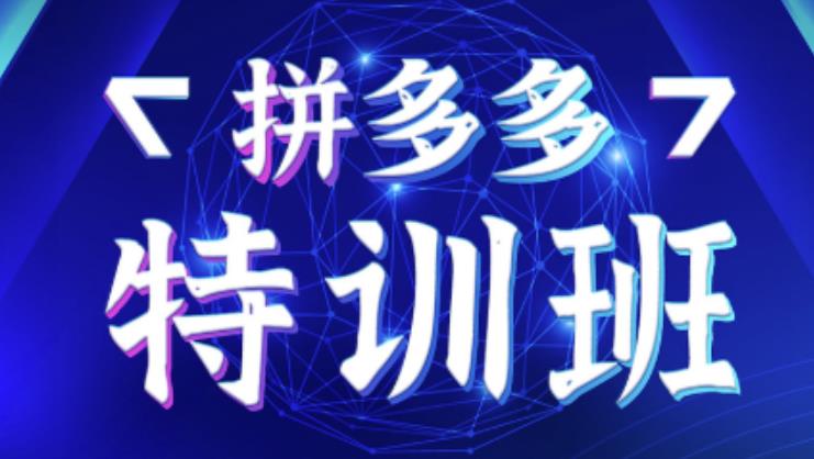 星雪教育·拼多多基础班+进阶班+突破班,用系统的学习模式快速改变现状价值3580元|淘骐网赚资源库