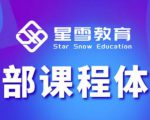 星雪教育淘系高级班,更全的运营提升方案,零基础由浅入深,店铺最新玩法|淘骐网赚资源库