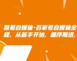 凯哥自媒体·百家号自媒体全套实战赚钱教程,从新手开始,循序渐进,系统的讲解|淘骐网赚资源库