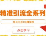 闲鱼精准引流全系列课程,每天引流100精准粉【视频课程】|淘骐网赚资源库
