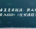 虚拟项目垂直类目玩法,新人快速起店,月入5000+【视频课程】|淘骐网赚资源库