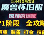 最新美服-怀旧服魔兽搬砖攻略,练级声望装备打金副本技能赚钱攻略|淘骐网赚资源库
