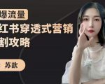 苏歆:小红书穿透式营销收割攻略,引爆流量,助你玩转小红书|淘骐网赚资源库