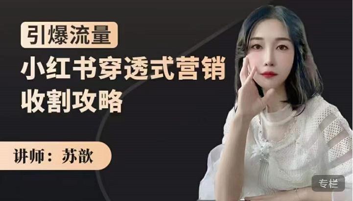 苏歆:小红书穿透式营销收割攻略,引爆流量,助你玩转小红书|淘骐网赚资源库