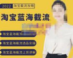 2022淘宝蓝海截流攻略,淘宝蓝海截流选品上货实操讲解|淘骐网赚资源库