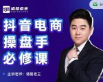 诸葛老王-抖音电商操盘手必修课:顶层设计,起号破局,爆款运营,数据分析|淘骐网赚资源库