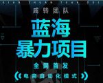 引流哥蓝海暴力躺赚项目:无需发圈无需引流无需售后,每单赚50-500(教程+线报群)|淘骐网赚资源库