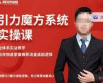 阿呆-引力魔方系统实操课,全体系实战教学,助你快速掌握推荐流量底层逻辑|淘骐网赚资源库