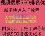 宋老师·短视频搜索SEO优化,教你10分钟创作一个短视频,三天排名上第一|淘骐网赚资源库