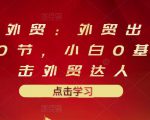业仔外贸:外贸出口详解30节,小白0基础进击外贸达人 价值666元|淘骐网赚资源库