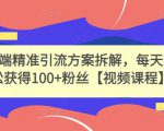 高端精准引流方案拆解,每天轻松获得100+粉丝【视频课程】|淘骐网赚资源库