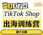 TikTokShop出海训练营(第十三期),打开全球流量新思维,出海抢占全球新流量,一店卖全球|淘骐网赚资源库