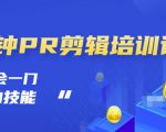 抖音视频一分钟PR剪辑培训:学会一门赚钱的技能,每节课短小精悍|淘骐网赚资源库