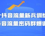 Peter抖音流量新兵训练营-破解抖音流量密码群爆训练营(新兵)|淘骐网赚资源库
