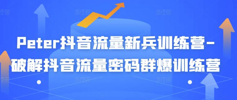 Peter抖音流量新兵训练营-破解抖音流量密码群爆训练营(新兵)|淘骐网赚资源库