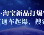 凌童·淘宝新品打爆实战班,直通车起爆、搜索起爆|淘骐网赚资源库