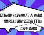 聚亿传媒张先生无人直播，教程素材话术全套打包|淘骐网赚资源库