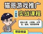 猫哥·游戏推广实战课程，单视频收益达6位数，从0到1成为优质游戏达人|淘骐网赚资源库
