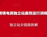 跨境电商独立站高效运行训练营,独立站全链路拆解|淘骐网赚资源库