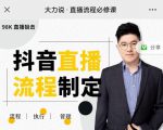 大力说·直播流程必修课,善用流程管理直播间,让工作更合规更高效|淘骐网赚资源库