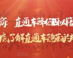 灯鱼说电商:直通车降低PPC秘籍,帮助商家彻底了解直通车隐藏的规律|淘骐网赚资源库