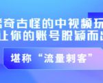 不讲李·稀奇古怪的冷门中视频冷门玩法,让你的账号脱颖而出,成为流量刺客!(图文+视频)|淘骐网赚资源库