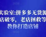 野路子实验室:拼多多无货源店群项目，新店破零，老店拯救等全方位教你打造店铺|淘骐网赚资源库