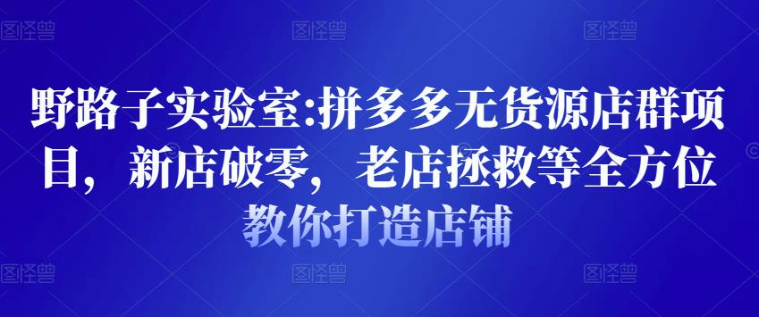 野路子实验室:拼多多无货源店群项目，新店破零，老店拯救等全方位教你打造店铺|淘骐网赚资源库
