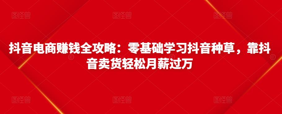 抖音电商赚钱全攻略:零基础学习抖音种草,靠抖音卖货轻松月薪过万|淘骐网赚资源库