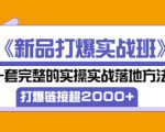 凌童《新品打爆实战班》,一套完整的实操实战落地方法,打爆链接超2000+(28节课)|淘骐网赚资源库