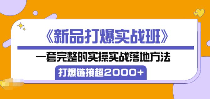 凌童《新品打爆实战班》,一套完整的实操实战落地方法,打爆链接超2000+(28节课)|淘骐网赚资源库