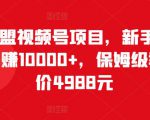 猎人联盟视频号项目,新手0基础轻松月赚10000+,保姆级教程原价4988元|淘骐网赚资源库