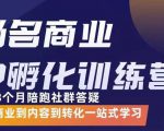 杨名商业IP孵化训练营,从商业到内容到转化一站式学 价值5980元|淘骐网赚资源库
