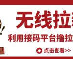 最新接码无限拉新项目,利用接码平台赚拉新平台差价,轻松日赚500+|淘骐网赚资源库
