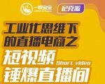 尼克派·工业化思维下的直播电商之短视频锤爆直播间,听话照做执行爆单|淘骐网赚资源库