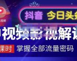 嚴如意·中视频影视解说—掌握流量密码,自媒体运营创收,批量运营账号|淘骐网赚资源库