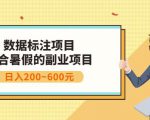 副业赚钱:人工智能数据标注项目,简单易上手,小白也能日入200+|淘骐网赚资源库