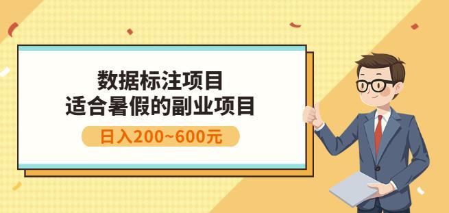 副业赚钱:人工智能数据标注项目,简单易上手,小白也能日入200+|淘骐网赚资源库
