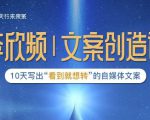 李欣频|文案创造课,0基础可报10天写出“看到就想转”的自媒体文案|淘骐网赚资源库